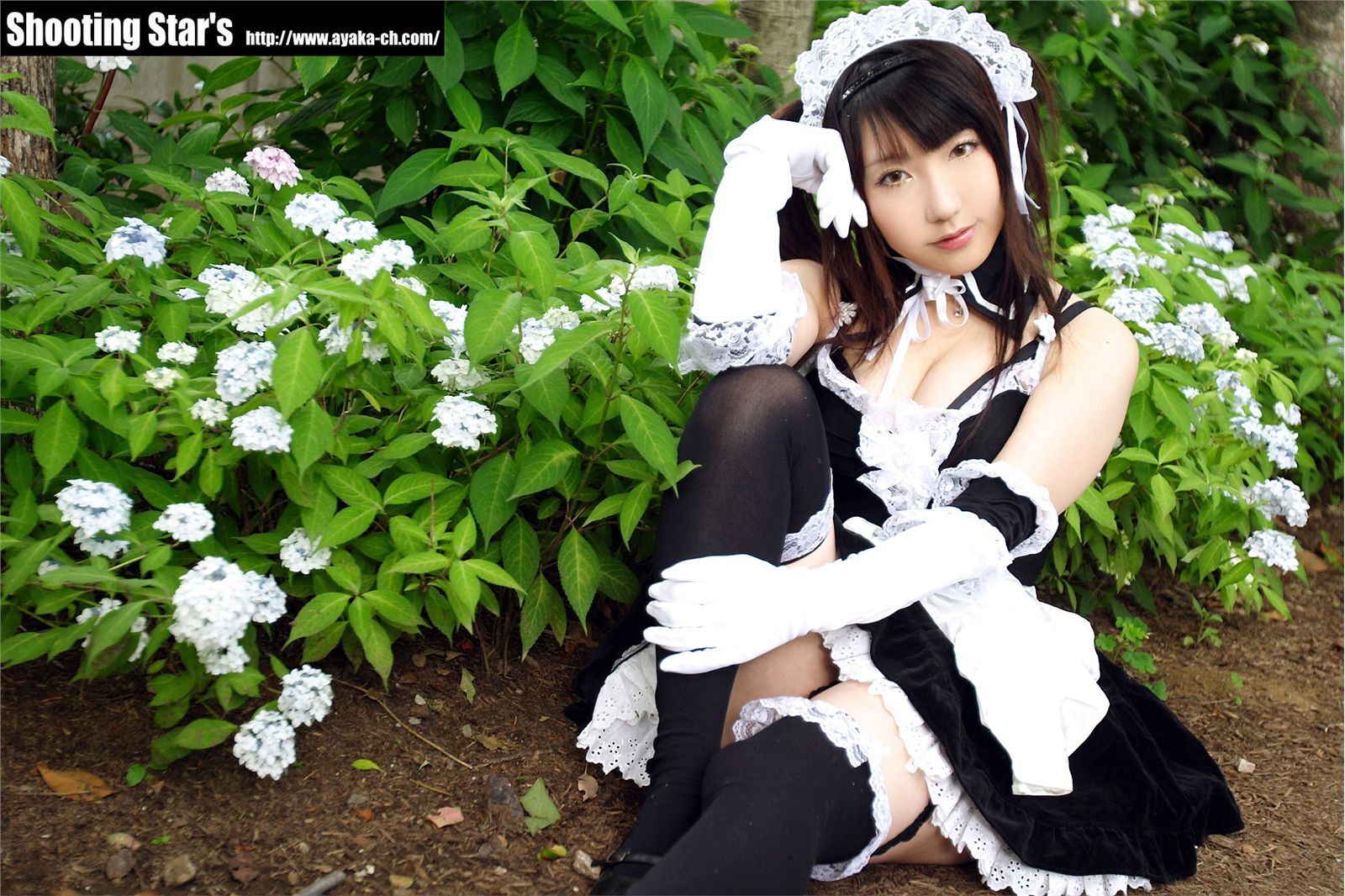 [Cosplay]  Sexy Maid with big boobs